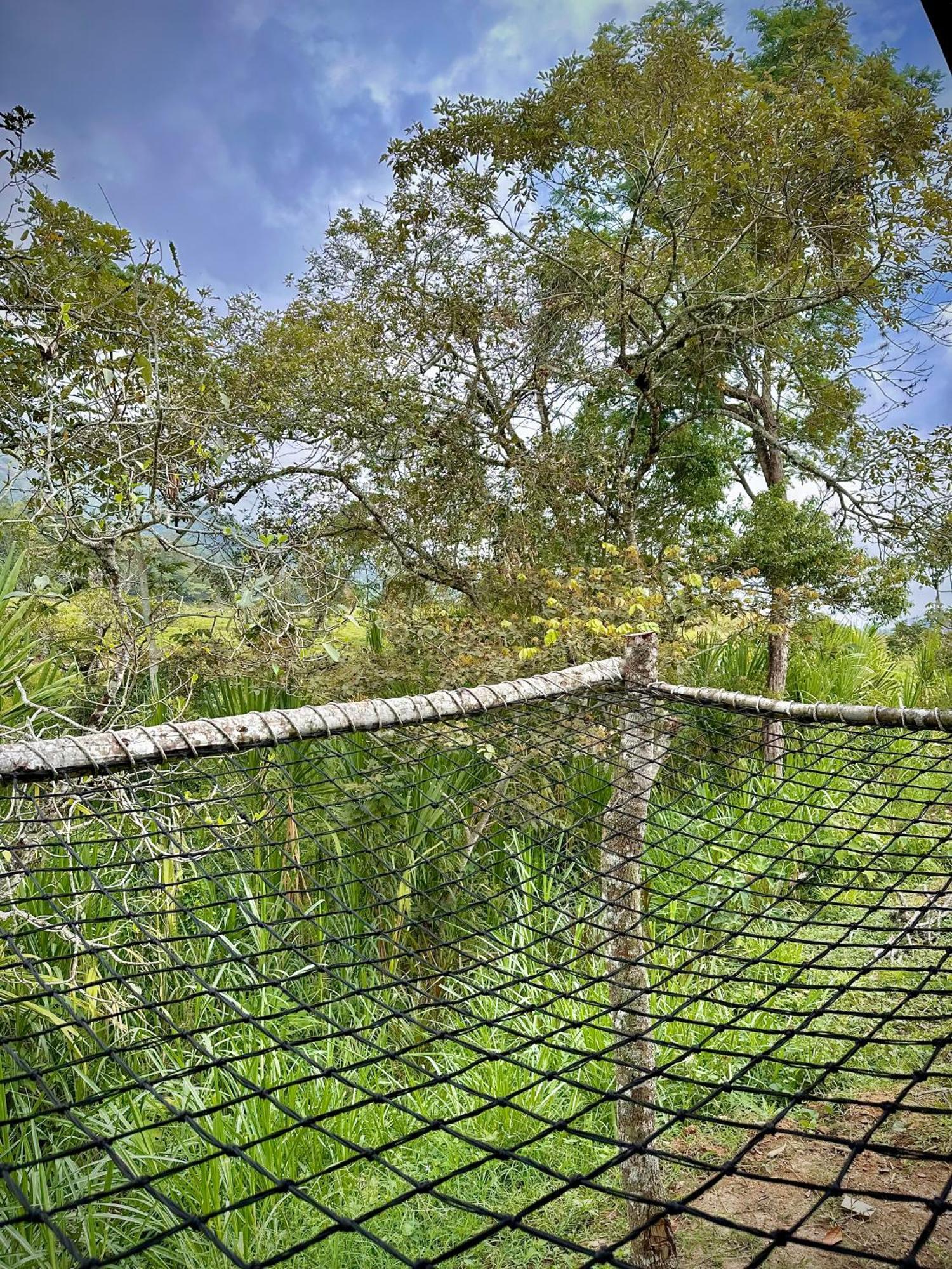Finca Ecoparaiso 이바게 외부 사진